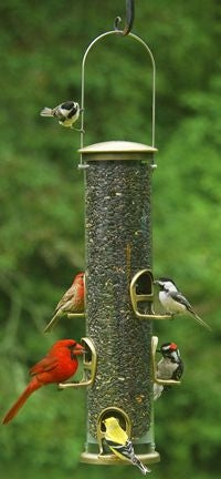 TG28068.jpg