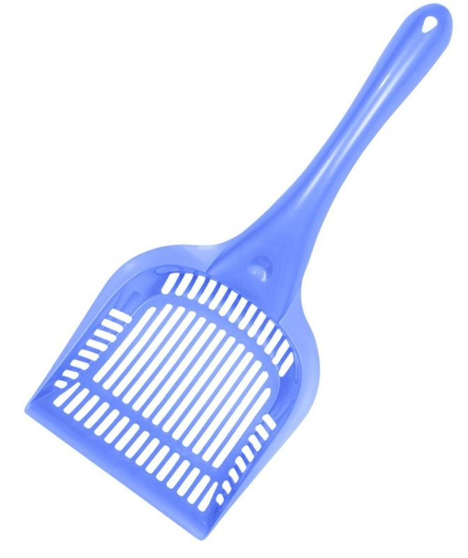 TH661512.jpg