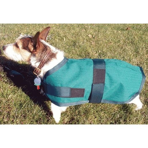 TH960394.jpg