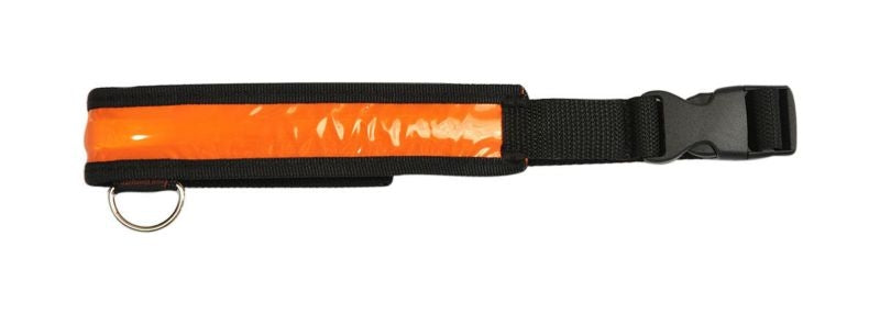 TH984462.jpg
