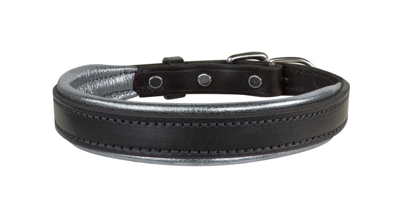 dc101bsv-silver-front.jpg