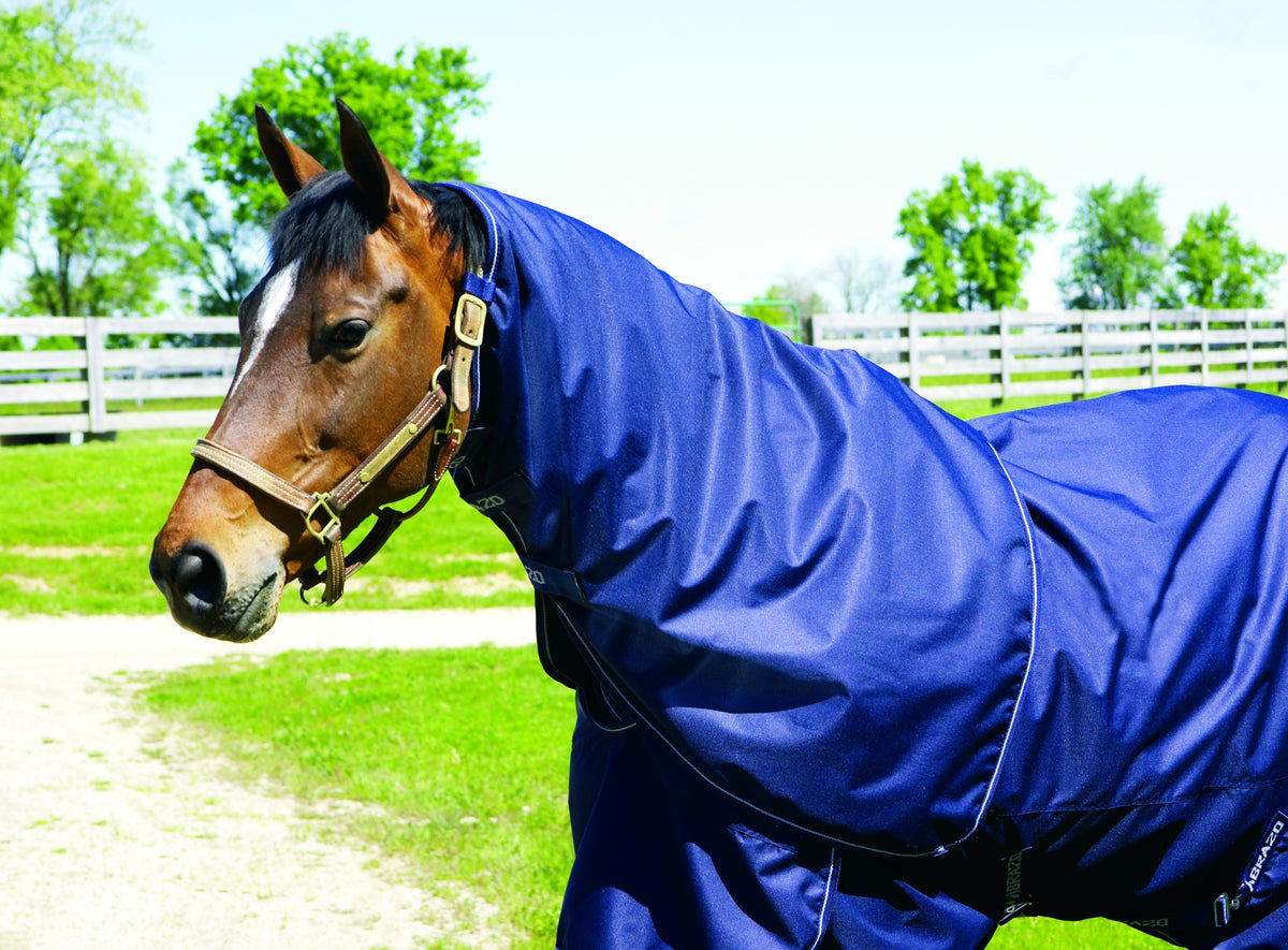 f813-f816navyneck.jpg