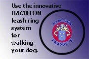 hamiltonadjringpic2.jpg