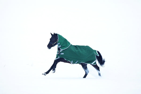horseware-aaaa98_gi00_03.jpg