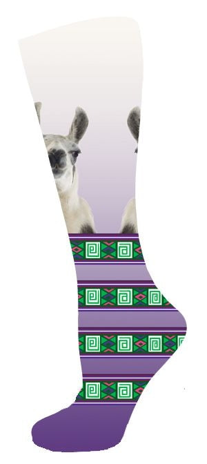 is00007r-llama.jpg