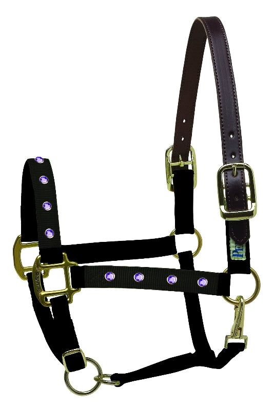 perris-154_bling_halter_purple.jpg