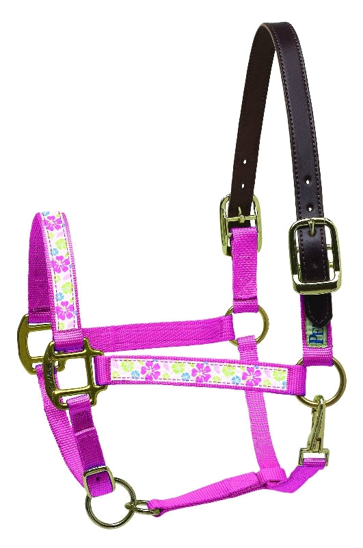 perris-155_halter_hibiscus_pink.jpg