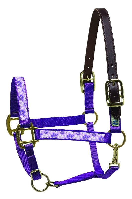 perris-155_halter_hibiscus_purple.jpg