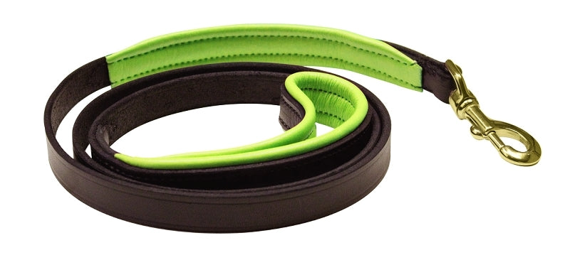perris-dl100_hav_lime.jpg