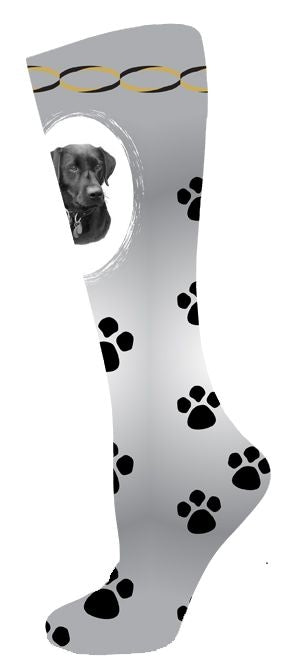 1is00109r-labrador.jpg