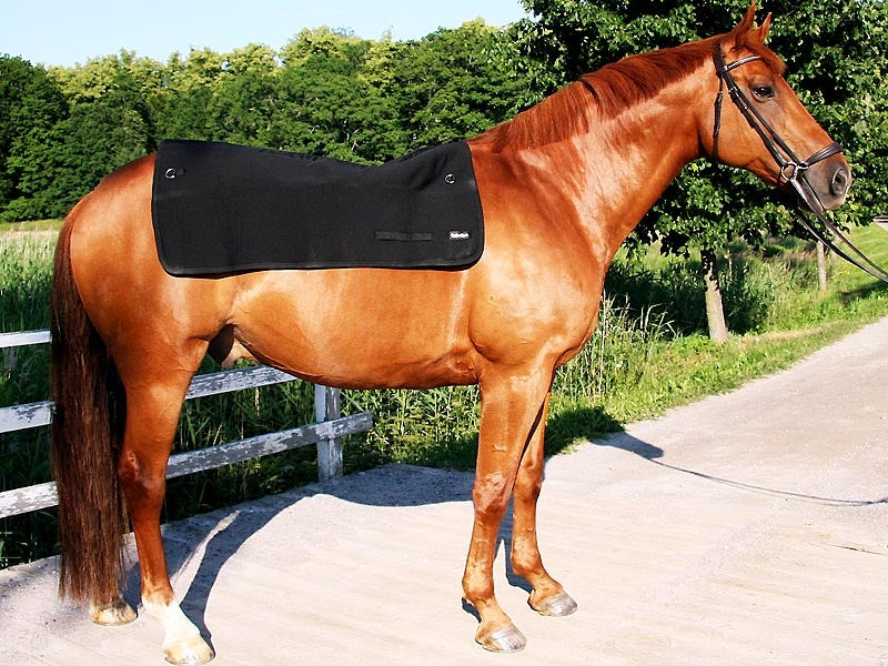 2100_horsebackwarmer_2_web.jpg