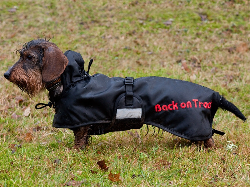 3211_dachshundrug_2_web.jpg