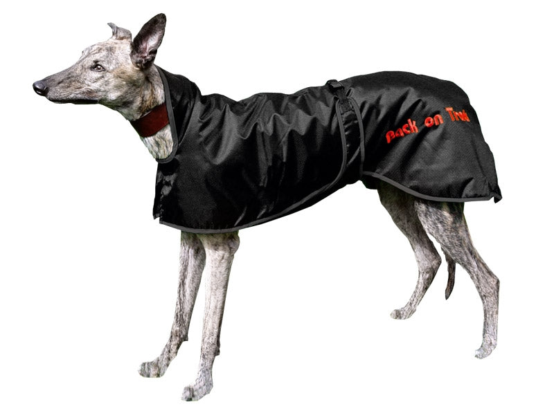 3215_greyhoundrug_2_web.jpg