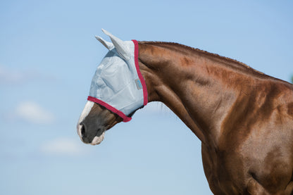 4-190253.jpg