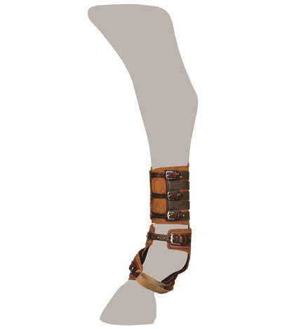 4-211273-c.jpg