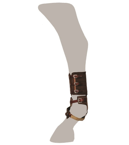 4-211279-c.jpg