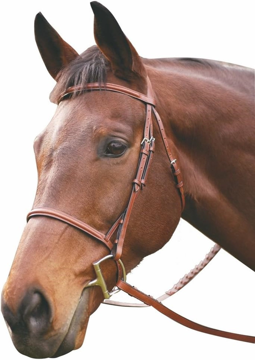 4-217071-ausnut.jpg