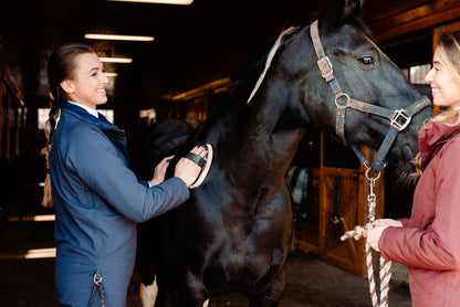 4-246402-d.jpg