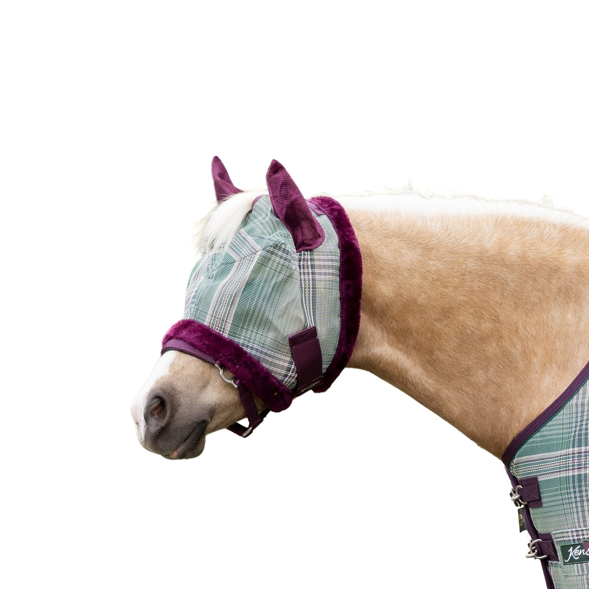 4-269816-01.jpg