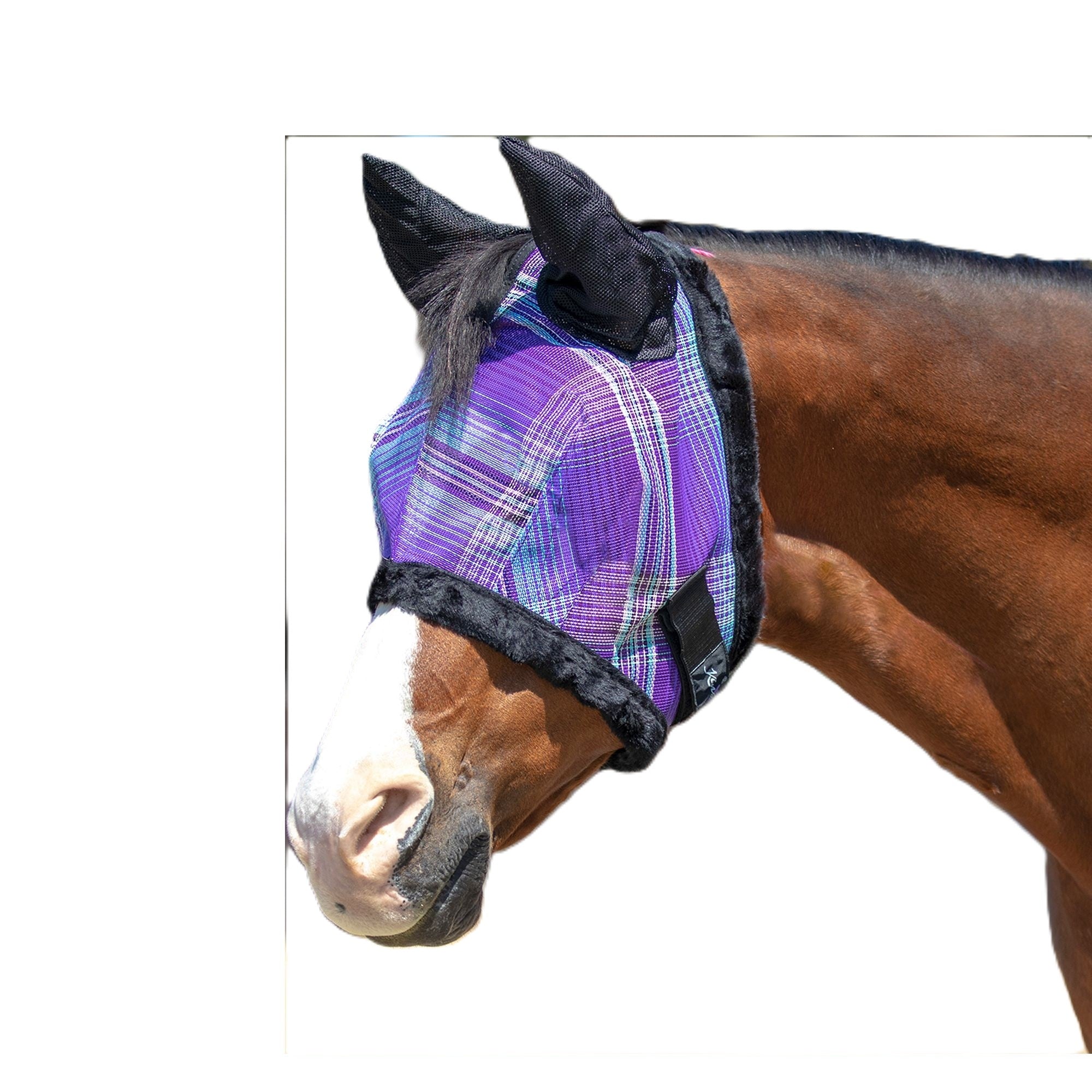 4-269828-01.jpg