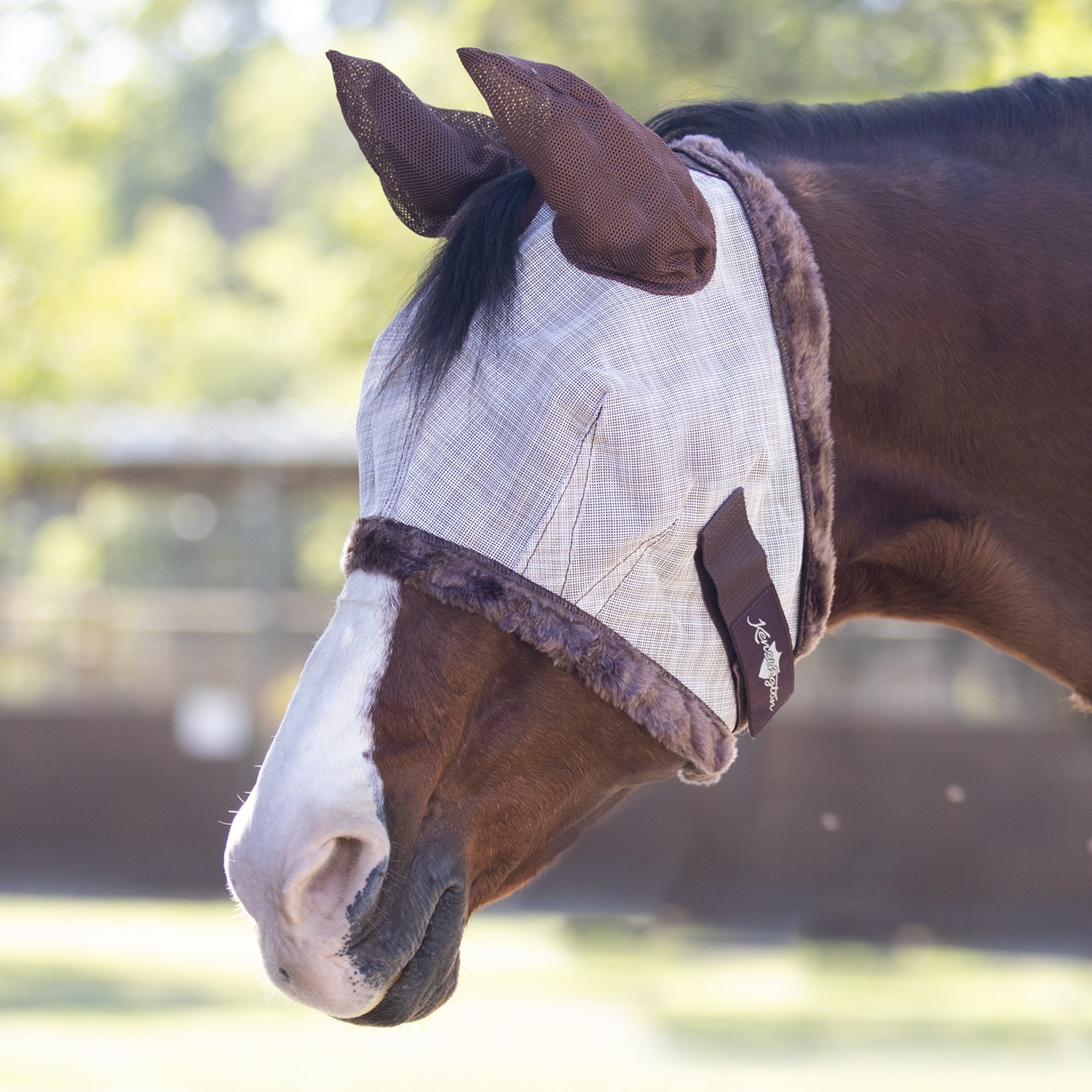 4-269832-03.jpg