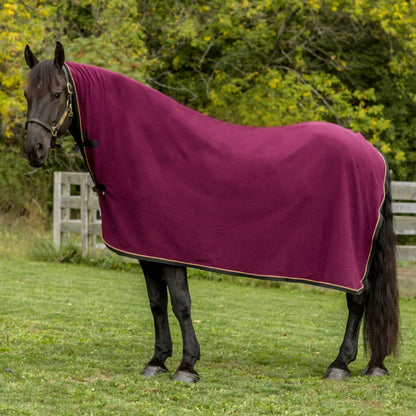4-271237.jpg