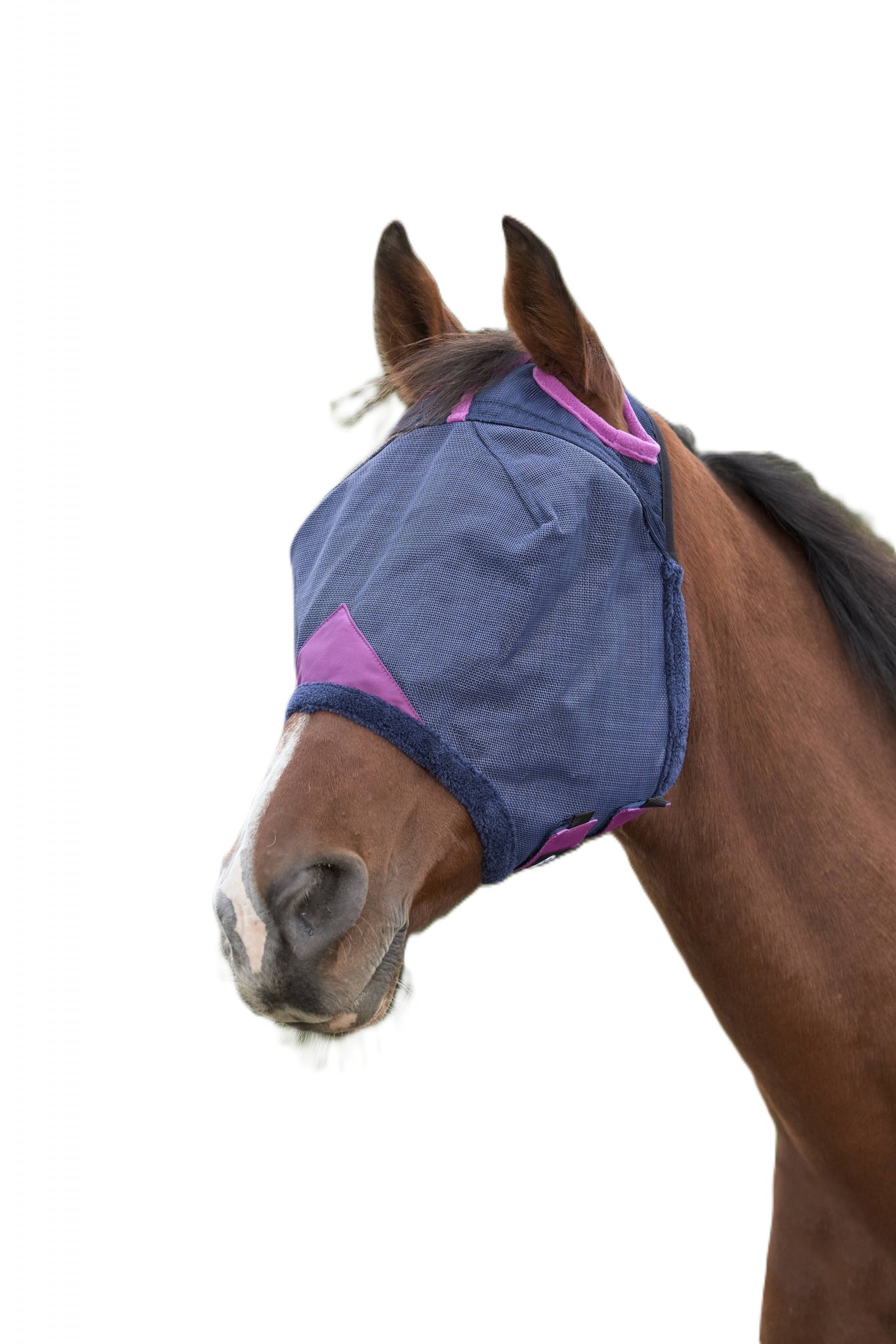 4-286311-01.jpg