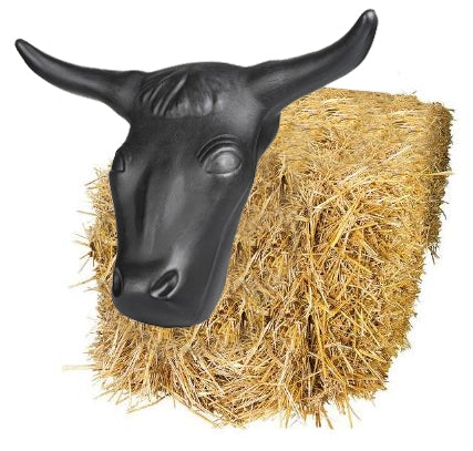 4-294776hay.jpg