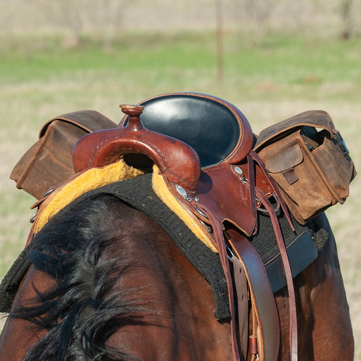 4-304232-b.jpg