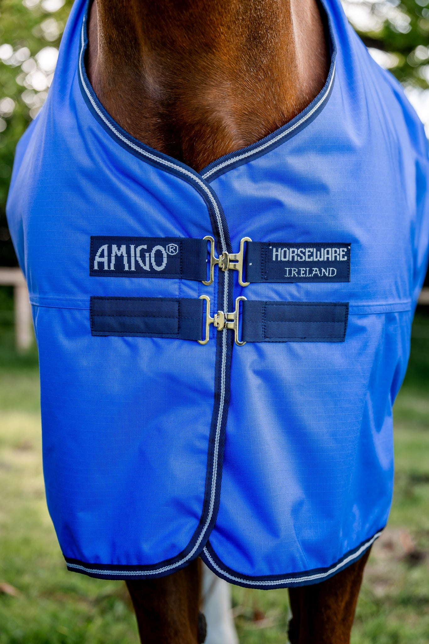 4-349781-b.jpg