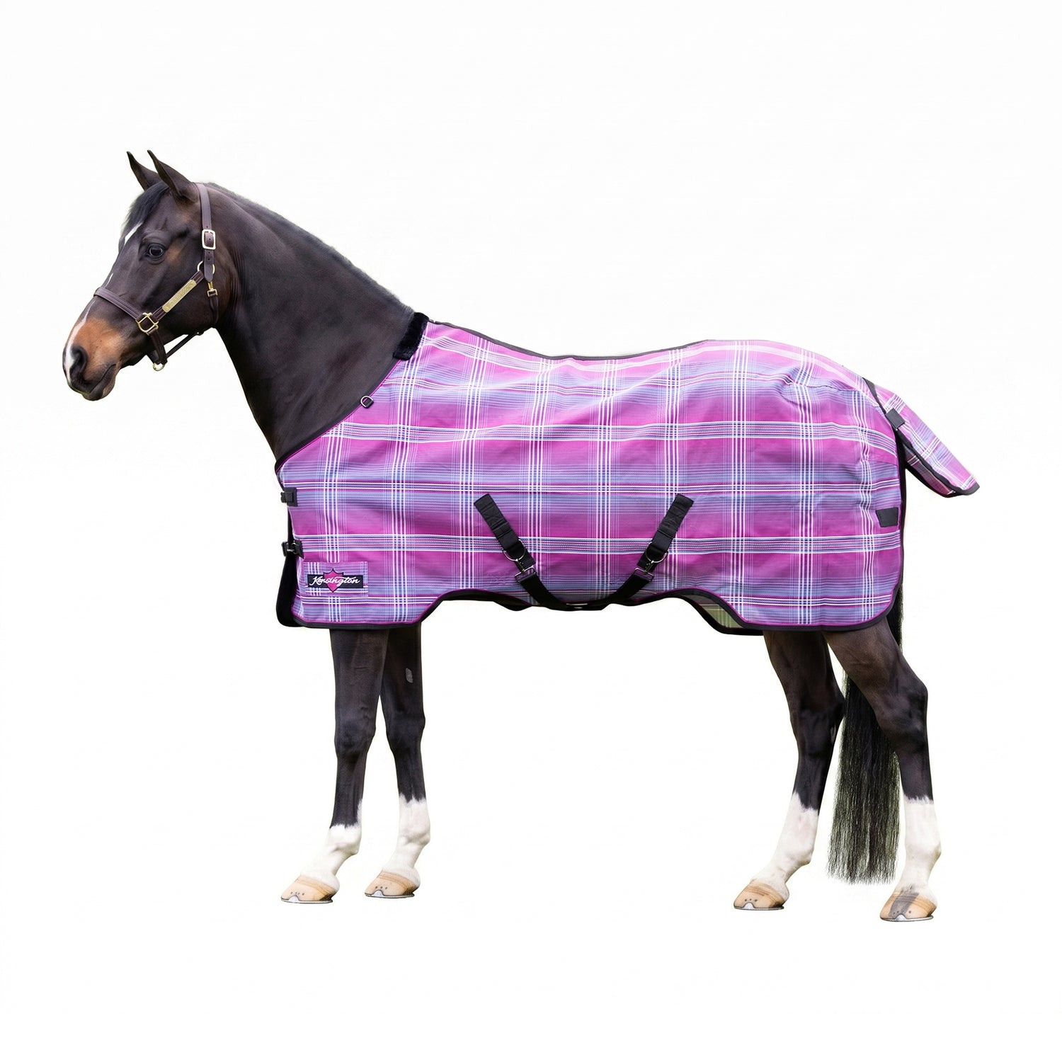 4-364989-b.jpg