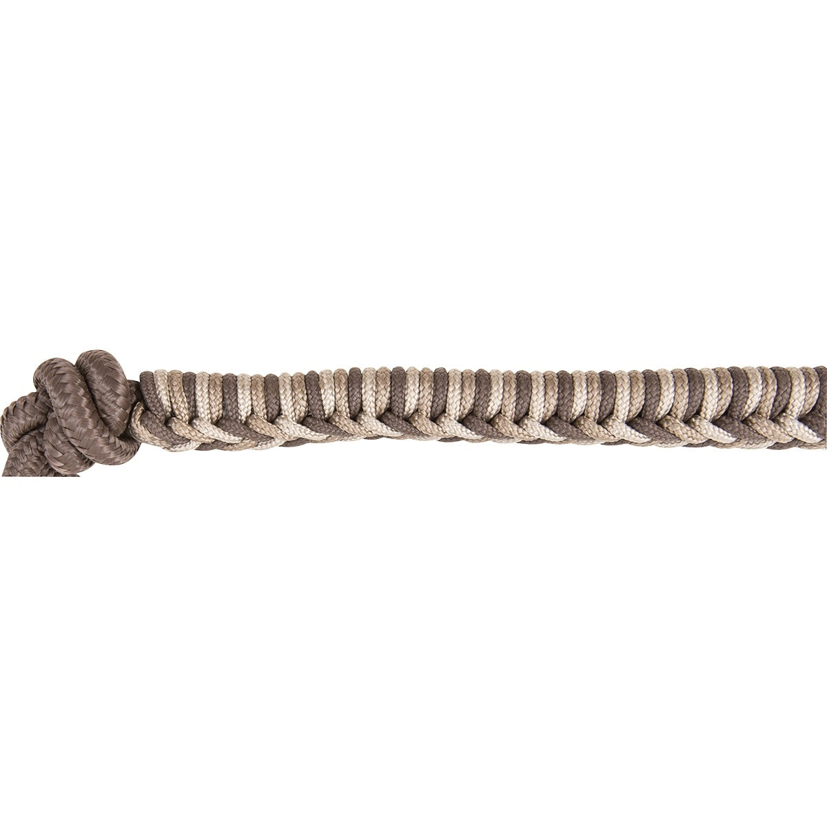 4-369956.jpg