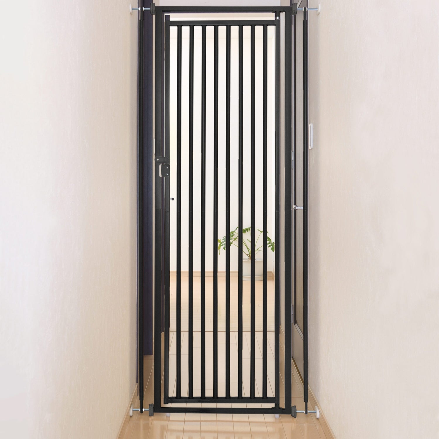 4-434244-b.jpg