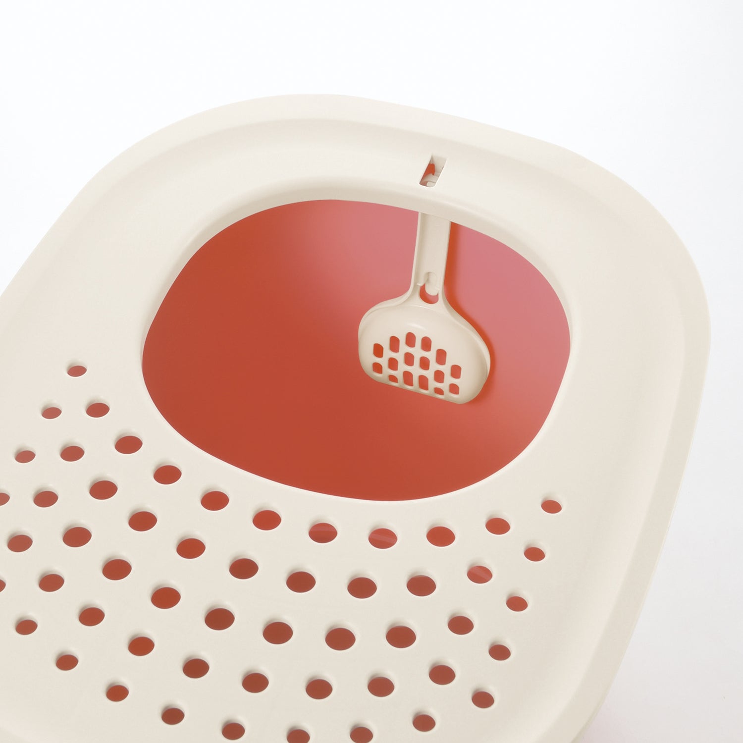 4-434342-e.jpg