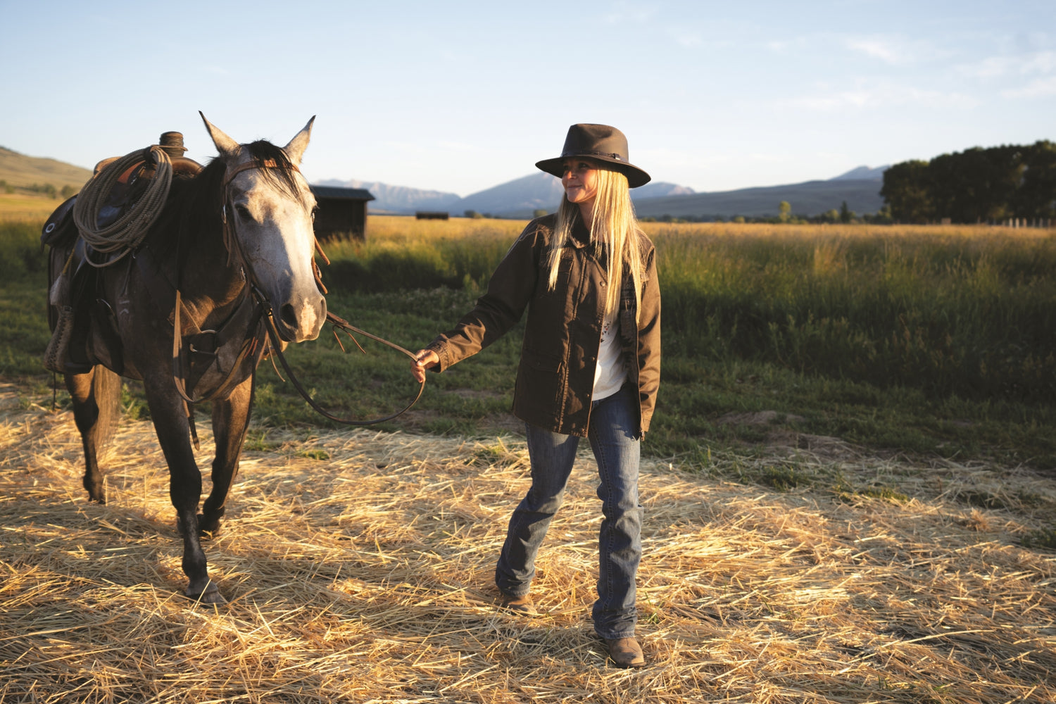 4-441971-a.jpg