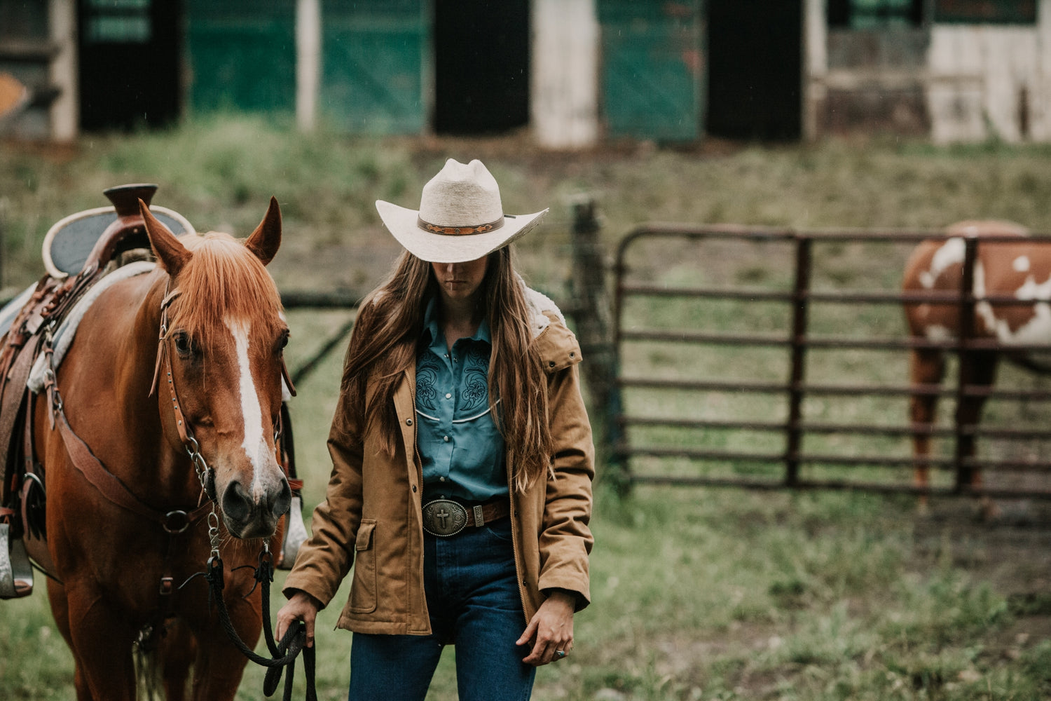4-442028-a.jpg