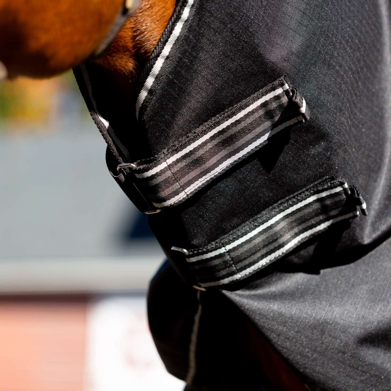 4-442481-b.jpg