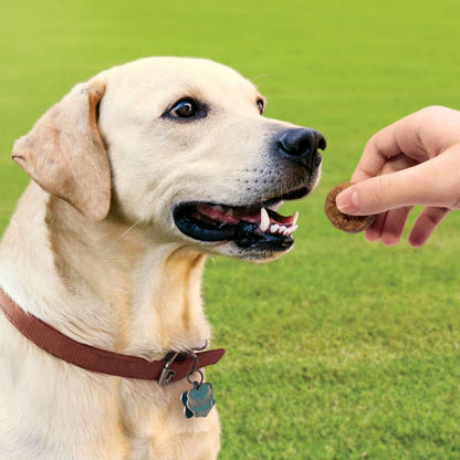 4-444002-c.jpg