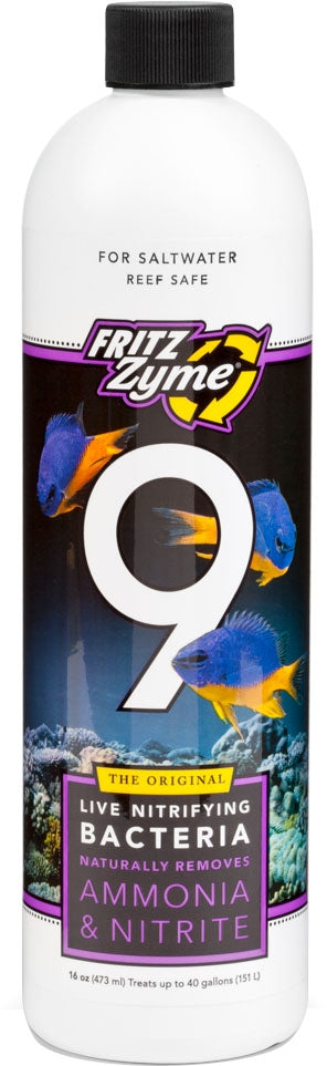 4-445738.jpg
