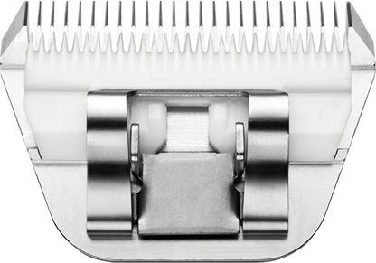 4-446495-c.jpg