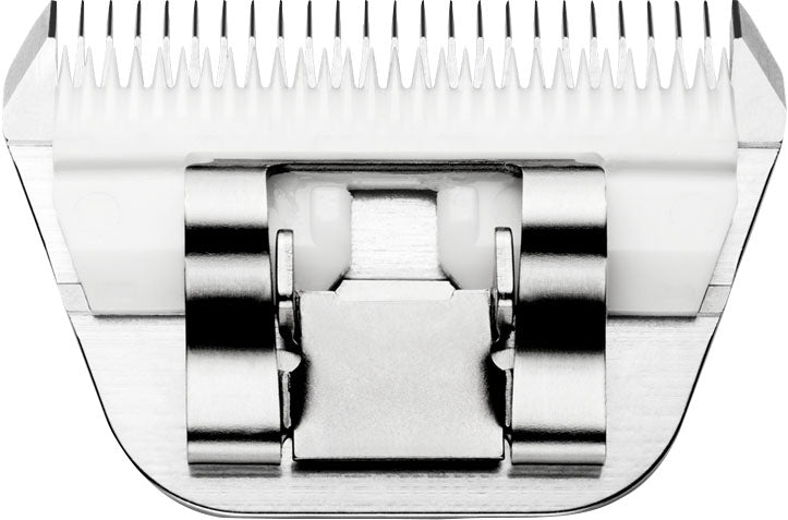4-446496-c.jpg