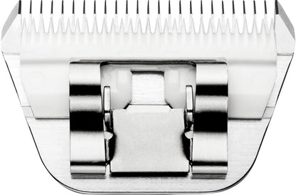 4-446496-c.jpg