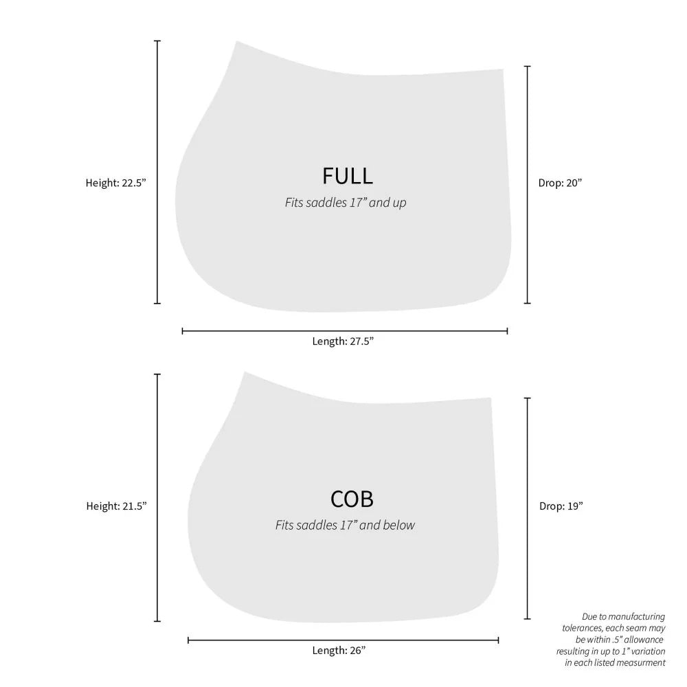 4-449976-b.jpg