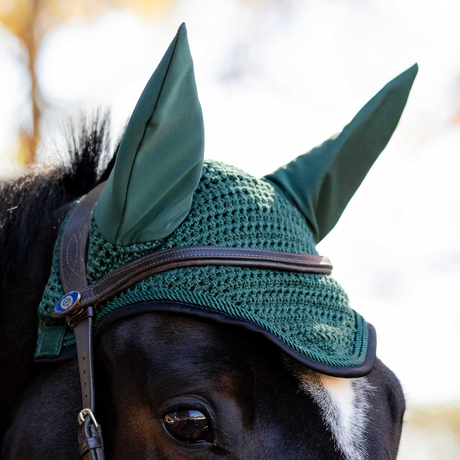 4-450451-a.jpg