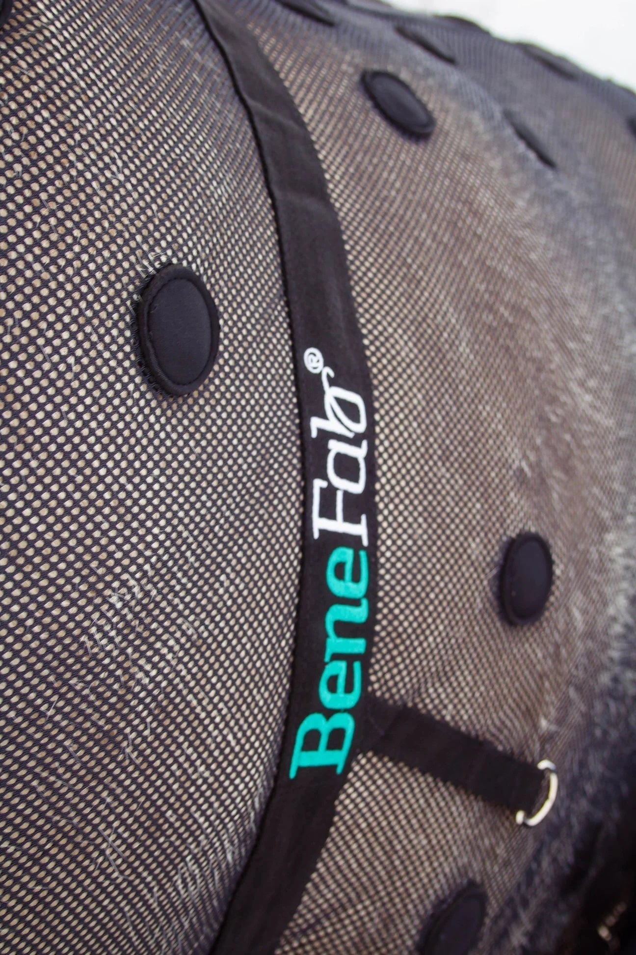 4-461532-b.jpg