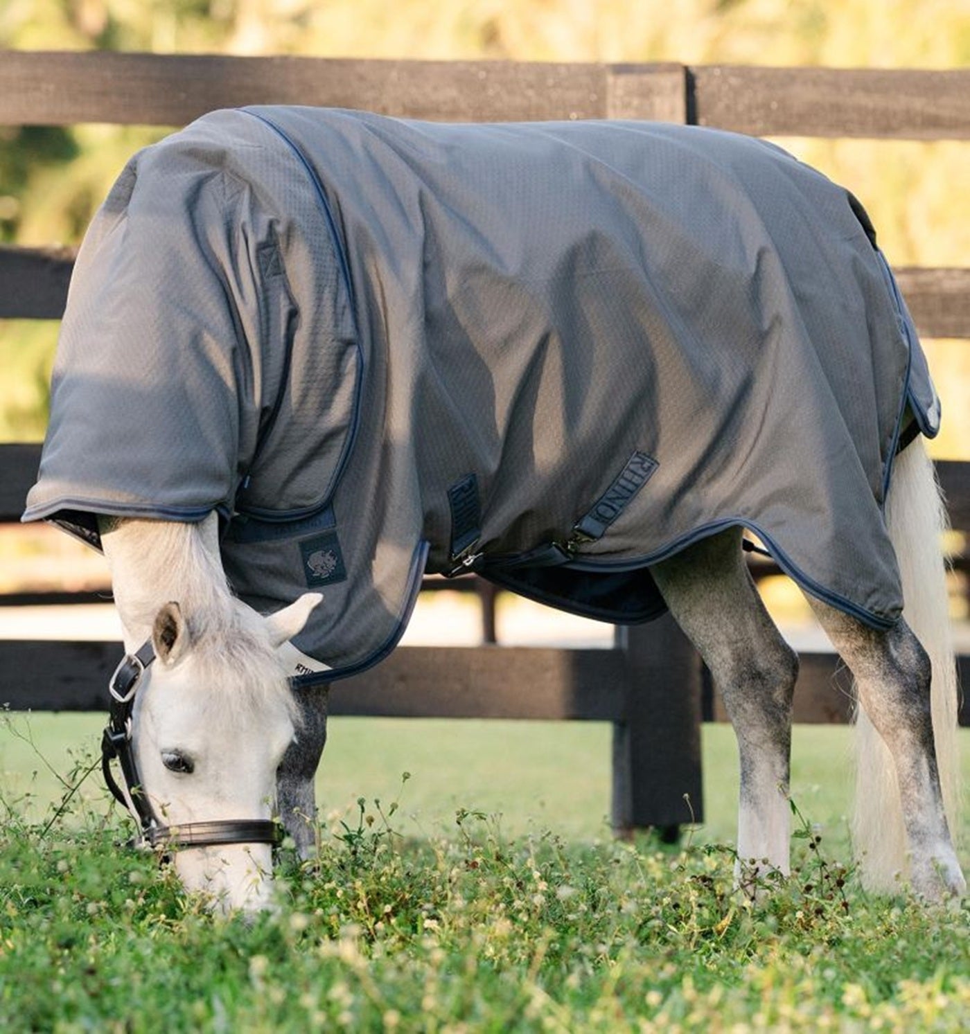 Rhino Plus Pony Turnout 250g – Leader Equine