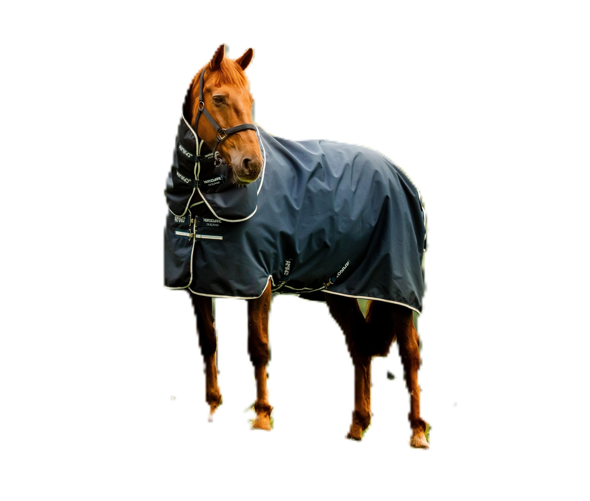 4-474226.jpg