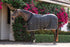4-474437-1.jpg