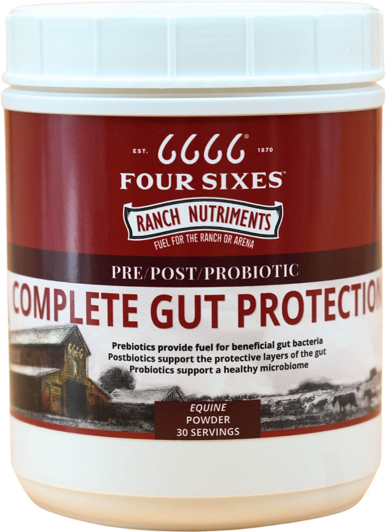 6666 Complete Gut Protection Powder – EquestrianCollections
