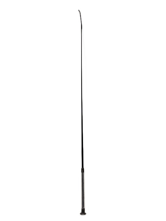 4-484974.jpg